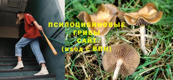 амфетамин Дмитров