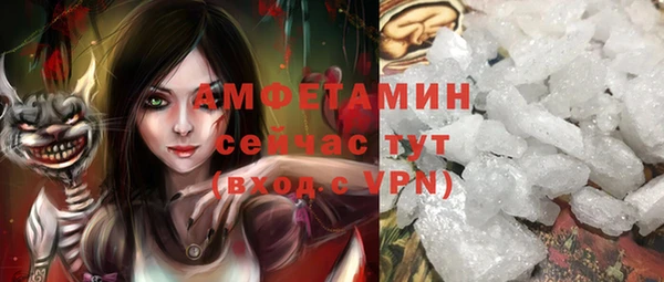 трава Ельня