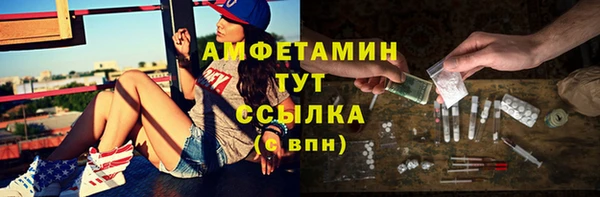 трава Ельня